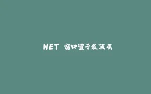 .NET 窗口置于最顶层-拾光赋