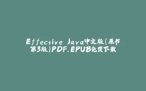 Effective Java中文版（原书第3版）PDF、EPUB免费下载-拾光赋