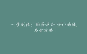 一步到位：购买适合 SEO 的域名全攻略-拾光赋