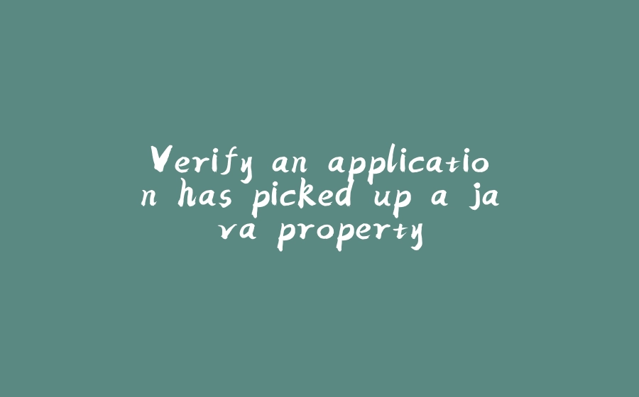 Verify an application has picked up a java property - 拾光赋-拾光赋