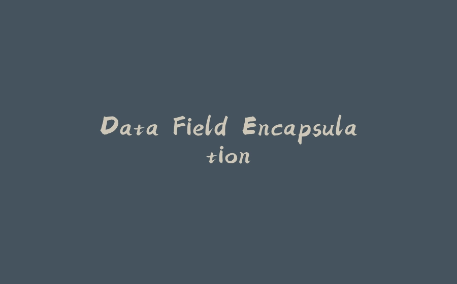 Data Field Encapsulation - 拾光赋-拾光赋