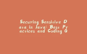 Securing Sensitive Data in Java: Best Practices and Coding Guidelines-拾光赋