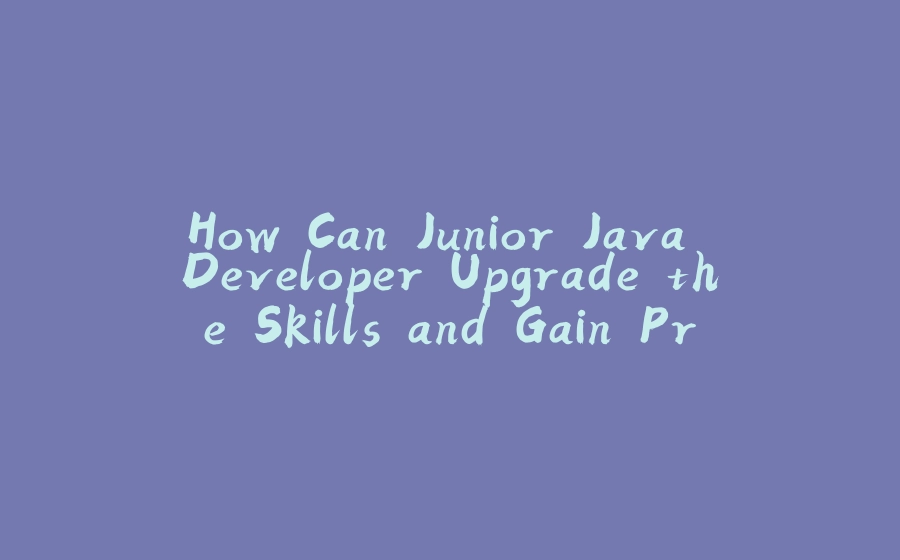 How Can Junior Java Developer Upgrade the Skills and Gain Practical Experience to Apply for The First Full-Time Job? - 拾光赋-拾光赋