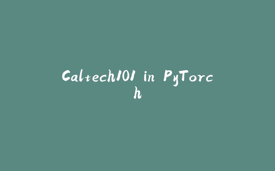 Caltech101 in PyTorch - 拾光赋-拾光赋