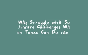 Why Struggle with Software Challenges When Tanzu Can Do the Heavy Lifting?-拾光赋
