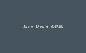 Java Druid 面试题-拾光赋