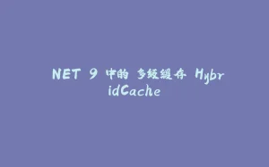 .NET 9 中的 多级缓存 HybridCache-拾光赋