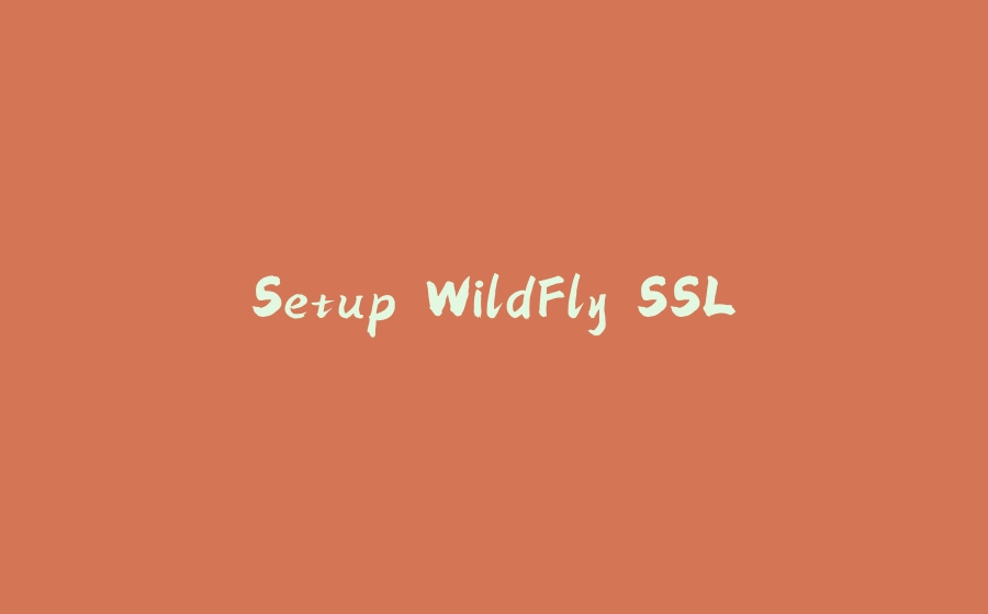 Setup WildFly SSL - 拾光赋-拾光赋