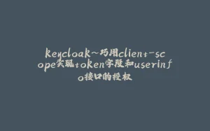 keycloak~巧用client-scope实现token字段和userinfo接口的授权-拾光赋