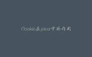 Cookie在java中的作用-拾光赋