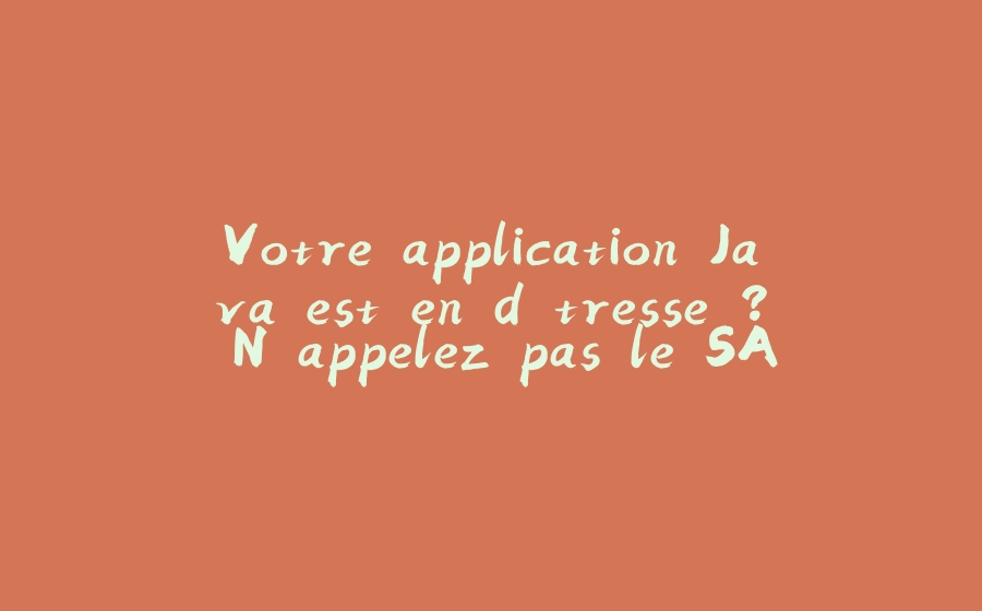 Votre application Java est en détresse ? N'appelez pas le SAMU, activez simplement un profiler ! - 拾光赋-拾光赋