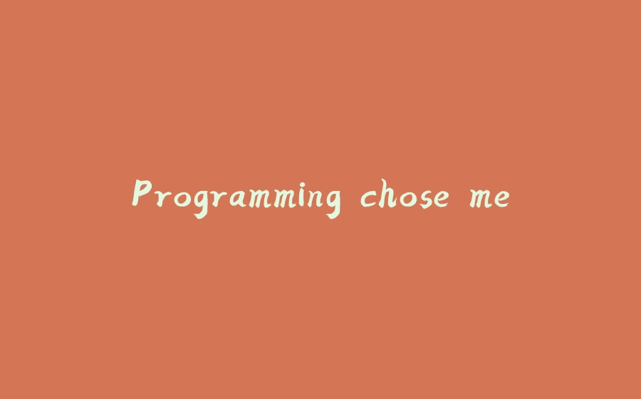 Programming chose me - 拾光赋-拾光赋