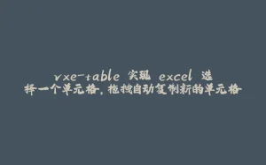 vxe-table 实现 excel 选择一个单元格，拖拽自动复制新的单元格-拾光赋