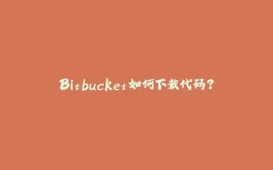 Bitbucket如何下载代码？-拾光赋