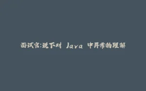 面试官：说下对 Java 中异常的理解-拾光赋