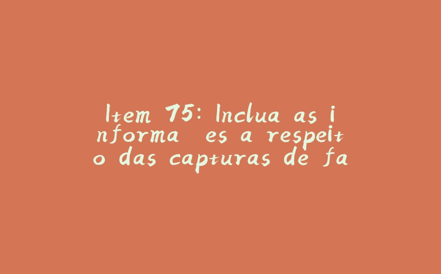 Item 75: Inclua as informações a respeito das capturas de falhas nos detalhes da mensagem - 拾光赋-拾光赋