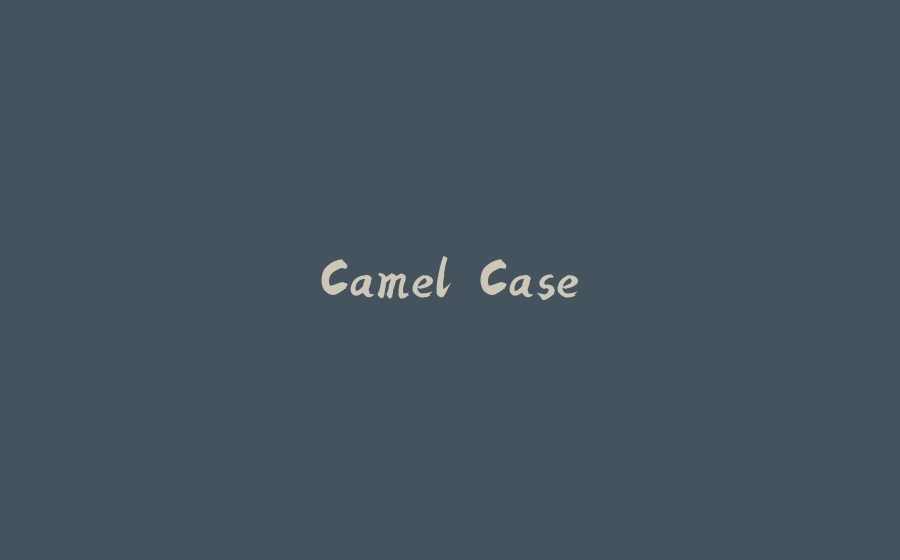 Camel Case - 拾光赋-拾光赋