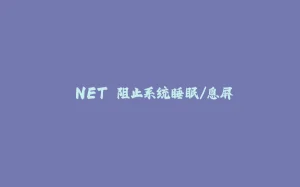 .NET 阻止系统睡眠/息屏-拾光赋