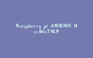 Raspberry pi 上部署调试.Net的IoT程序-拾光赋