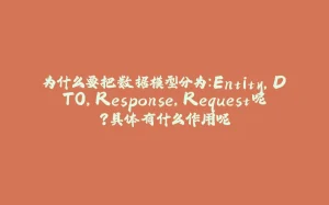 为什么要把数据模型分为：Entity,DTO,Response,Request呢？具体有什么作用呢-拾光赋