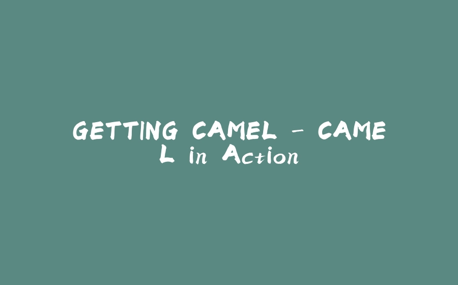 GETTING CAMEL - CAMEL in Action - 拾光赋-拾光赋