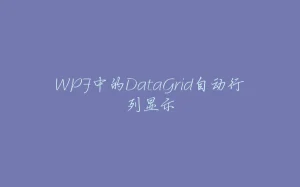WPF中的DataGrid自动行列显示-拾光赋