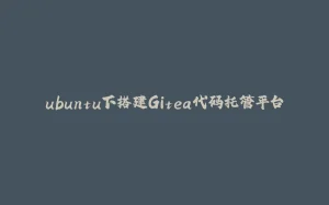 ubuntu下搭建Gitea代码托管平台-拾光赋