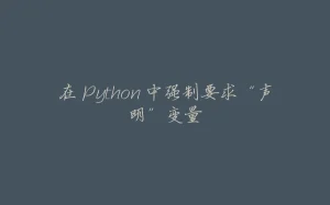 在 Python 中强制要求“声明”变量-拾光赋