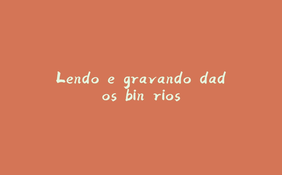 Lendo e gravando dados binários - 拾光赋-拾光赋