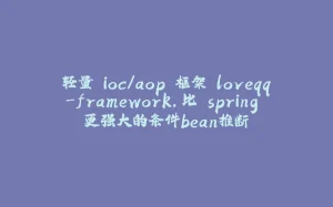 轻量 ioc/aop 框架 loveqq-framework,比 spring 更强大的条件bean推断-拾光赋