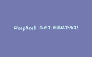 DeepSeek 杀疯了,国家队下场了!-拾光赋