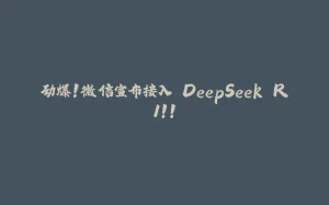 劲爆!微信宣布接入 DeepSeek R1!!-拾光赋