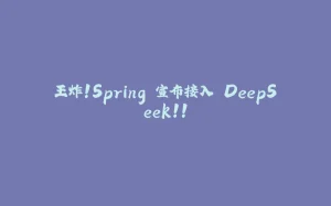 王炸！Spring 宣布接入 DeepSeek！！-拾光赋