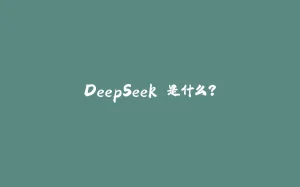 DeepSeek 是什么?-拾光赋