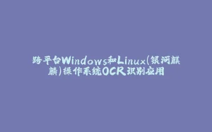 跨平台Windows和Linux(银河麒麟)操作系统OCR识别应用-拾光赋
