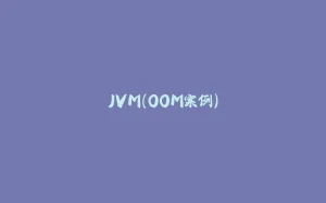 JVM(OOM案例)-拾光赋