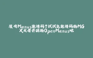 没有Manus邀请码？试试免邀请码的MGX或者开源的OpenManus吧-拾光赋