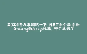 2025年再来测试一下.NET各个版本和Golang的http性能，哪个更快？-拾光赋