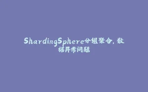 ShardingSphere分组聚合，数据异常问题-拾光赋
