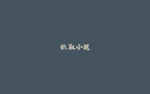 抓取小说-拾光赋