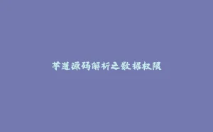 芋道源码解析之数据权限-拾光赋