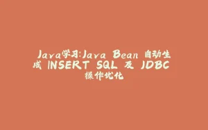 Java学习:Java Bean 自动生成 INSERT SQL 及 JDBC 操作优化-拾光赋