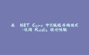 在 .NET Core 中实现缓存端模式：使用 Redis 提升性能-拾光赋
