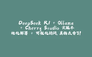 DeepSeek R1 + Ollama + Cherry Studio 实现本地化部署 + 可视化访问，真的太香了！-拾光赋
