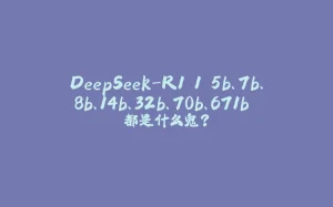 DeepSeek-R1 1.5b、7b、8b、14b、32b、70b、671b 都是什么鬼?-拾光赋