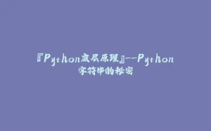 『Python底层原理』--Python字符串的秘密-拾光赋