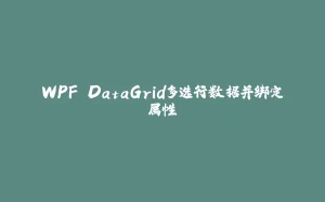 WPF DataGrid多选行数据并绑定属性-拾光赋