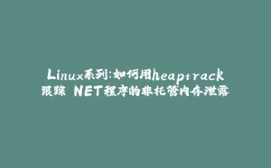 Linux系列：如何用heaptrack跟踪.NET程序的非托管内存泄露-拾光赋