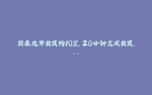蔚来汽车裁员约10%，20分钟完成裁员。。。-拾光赋