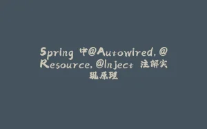 Spring 中@Autowired，@Resource，@Inject 注解实现原理-拾光赋